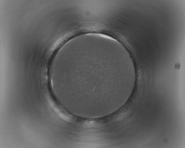 X0000111800634200909031230