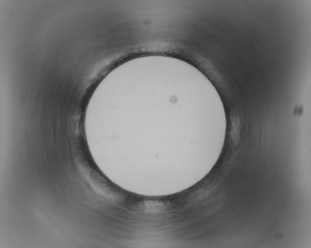 X0000111800636200909031230