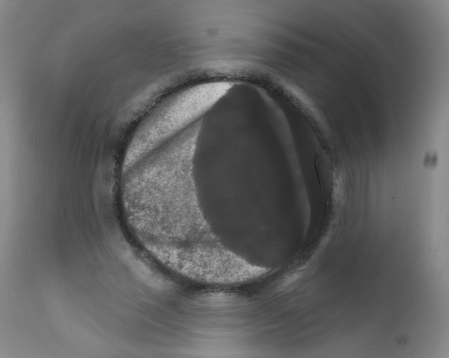 X0000111800637200909031230
