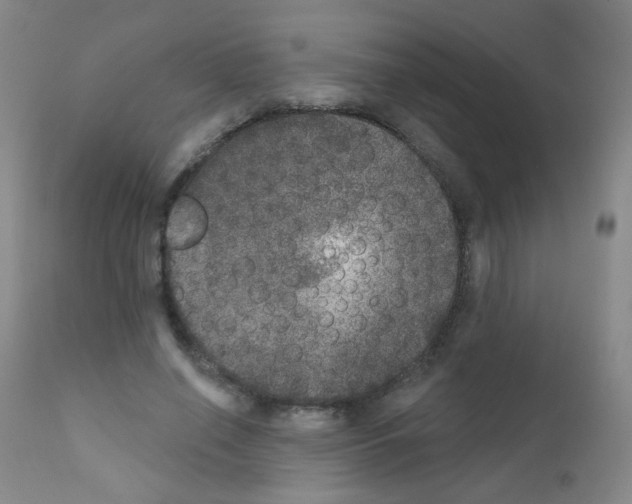 X0000111800638200909031230