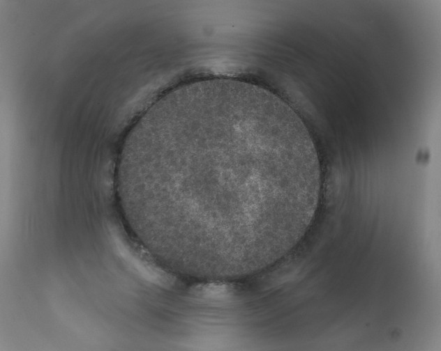 X0000111800639200909031230