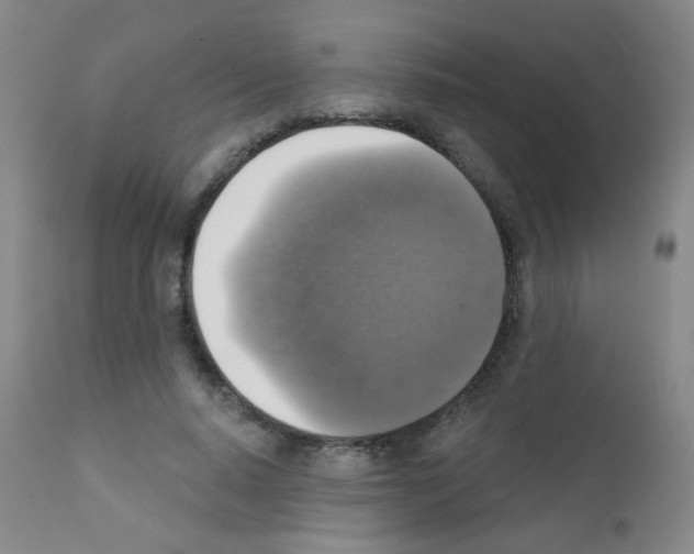 X0000111800640200909031230