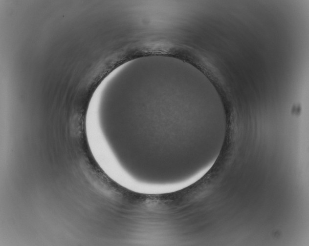 X0000111800641200909031230
