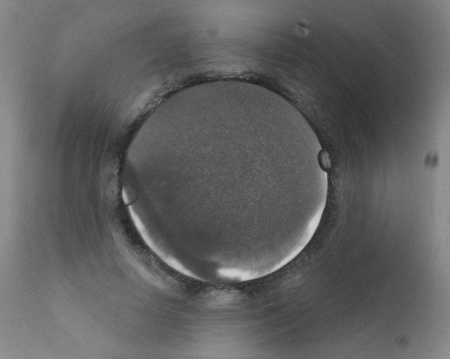 X0000111800642200909031230