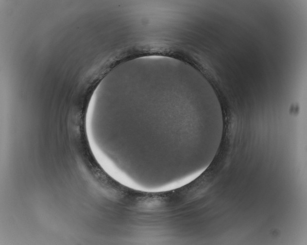 X0000111800643200909031230