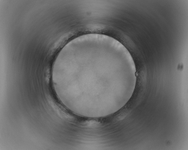 X0000111800644200909031230