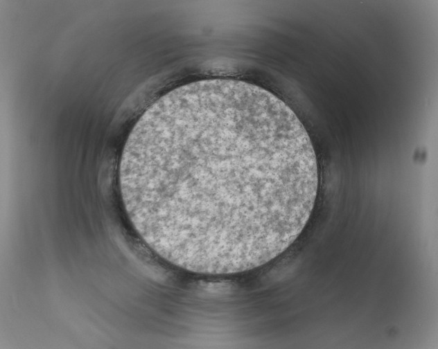 X0000111800645200909031230