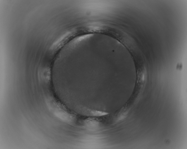 X0000111800648200909031230