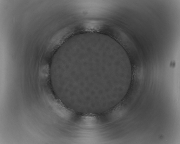 X0000111800649200909031230