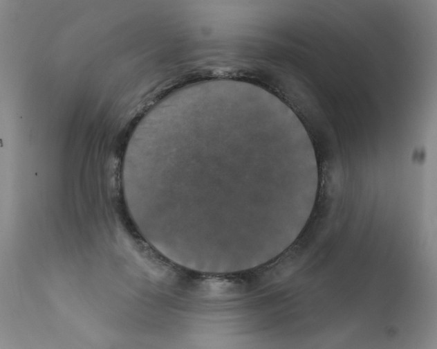X0000111800650200909031230
