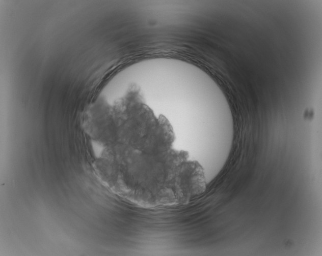 X0000111800652200909031230
