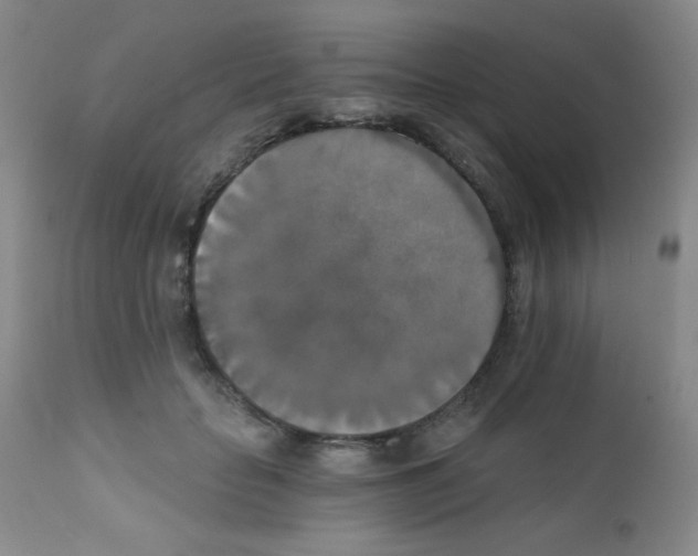 X0000111800653200909031230