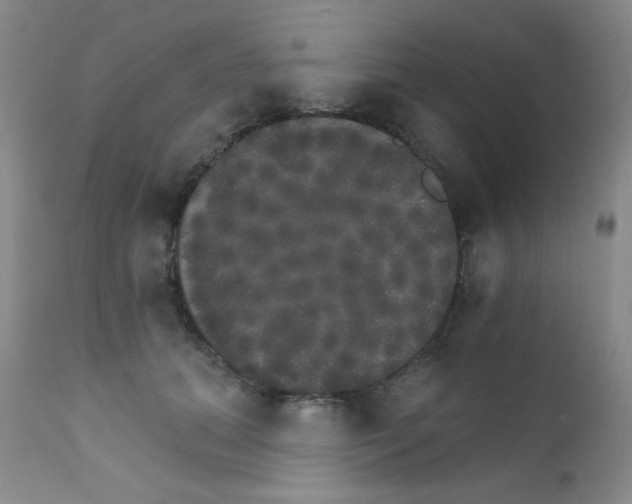 X0000111800655200909031230