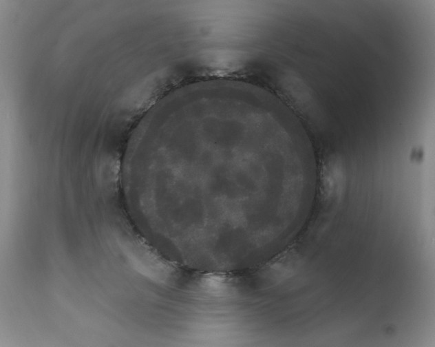 X0000111800657200909031230