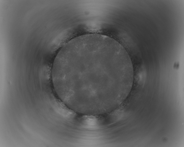 X0000111800658200909031230