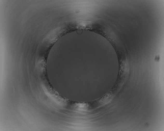 X0000111800659200909031230