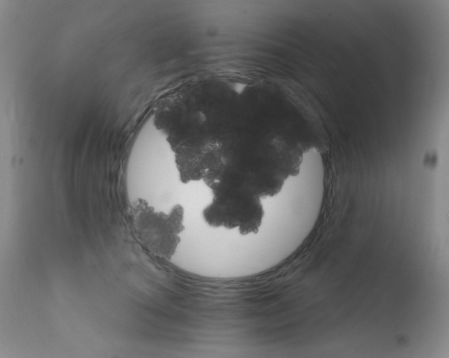 X0000111800660200909031230