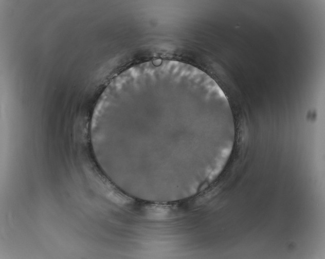 X0000111800661200909031230
