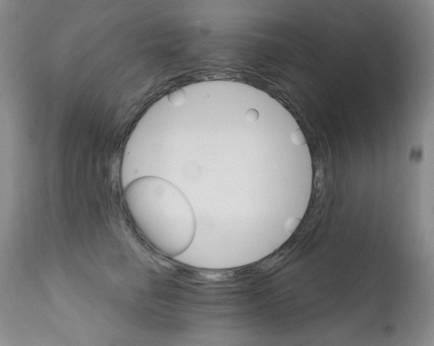X0000111800662200909031230