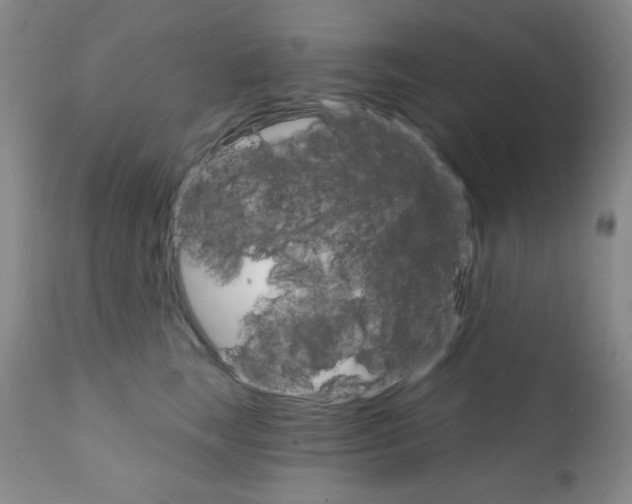 X0000111800663200909031230