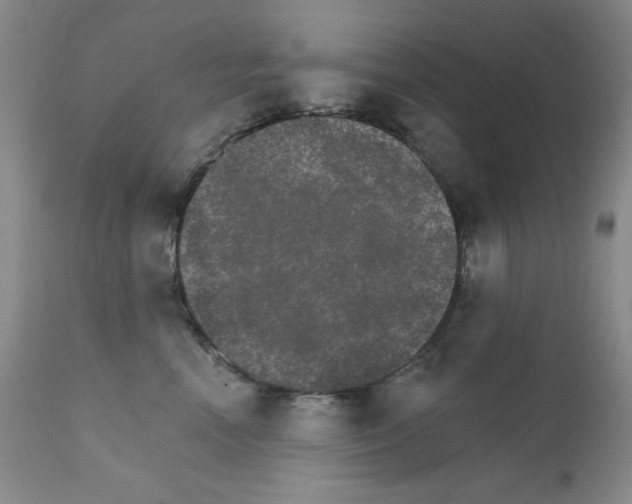 X0000111800666200909031230