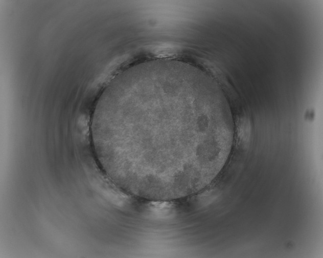 X0000111800667200909031230