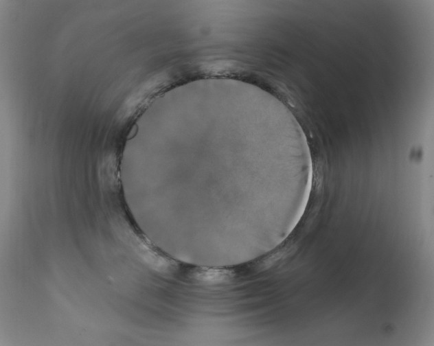 X0000111800670200909031230