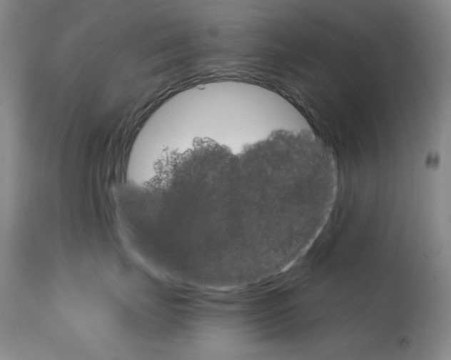 X0000111800671200909031230