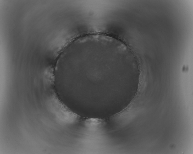 X0000111800672200909031231