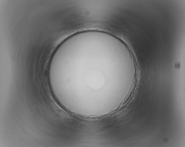 X0000111800673200909031230