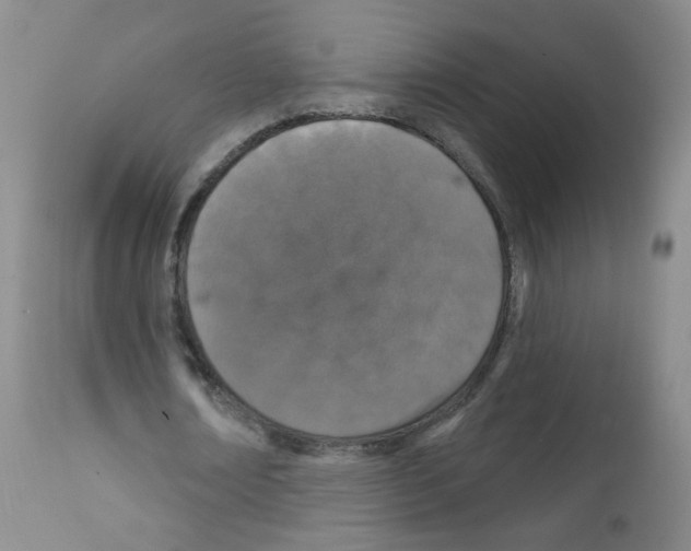 X0000111800674200909031230