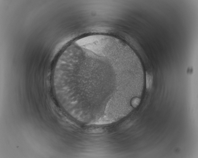 X0000111800675200909031230