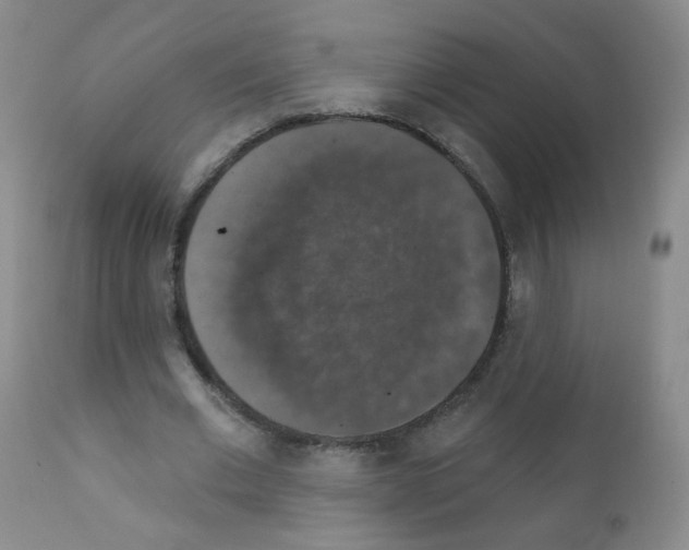 X0000111800677200909031230