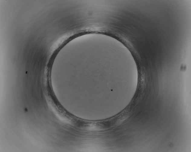X0000111800678200909031230