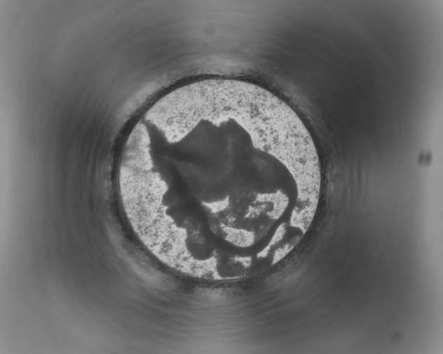X0000111800679200909031230