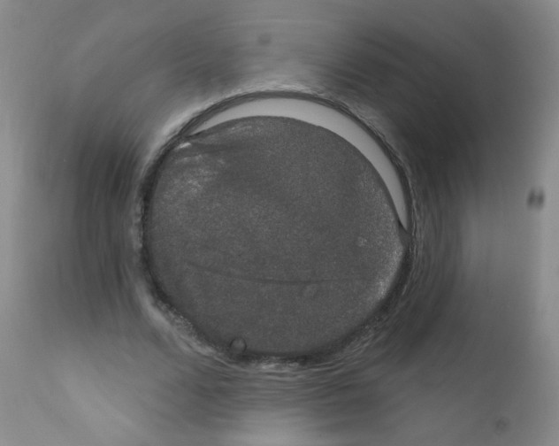 X0000111800680200909031230