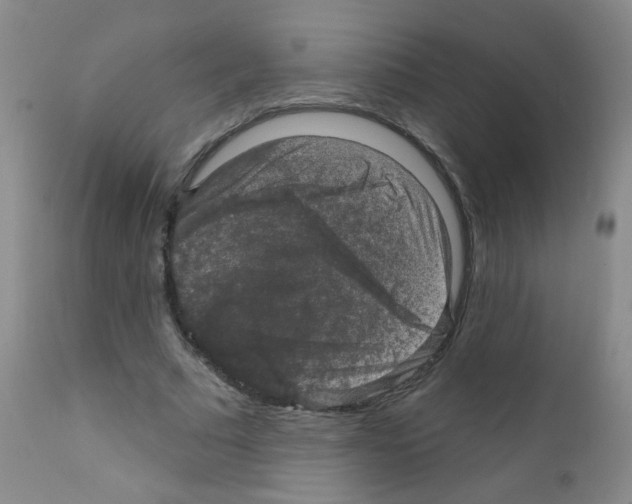 X0000111800681200909031230