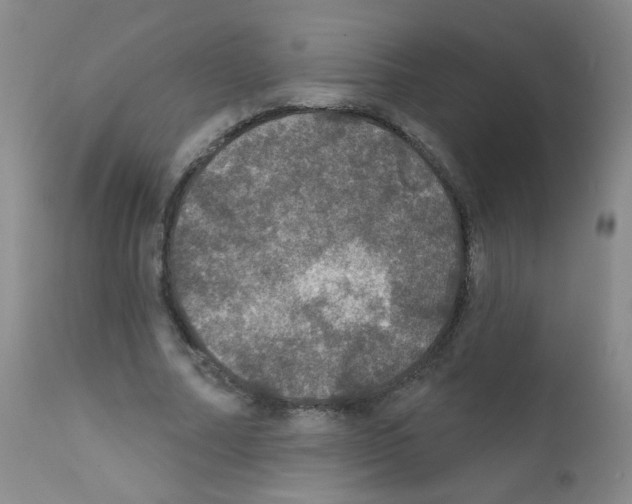 X0000111800682200909031230