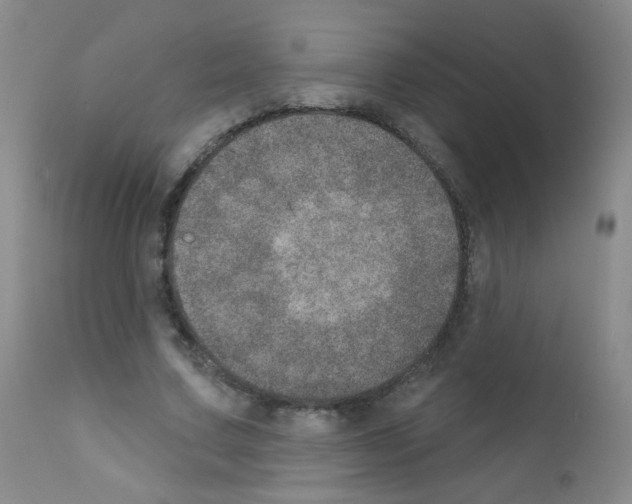 X0000111800683200909031230