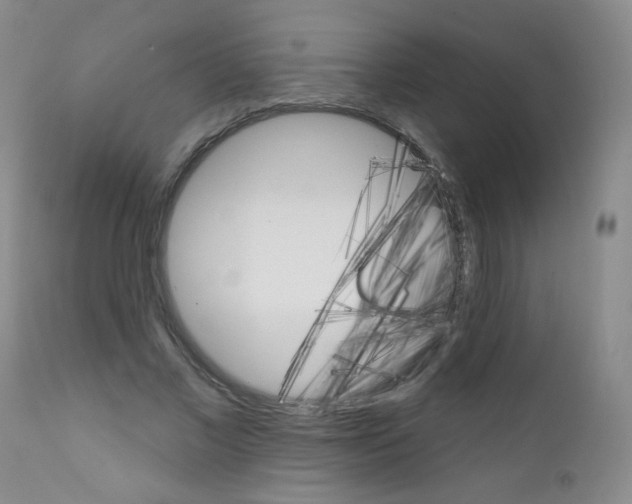 X0000111800685200909031230