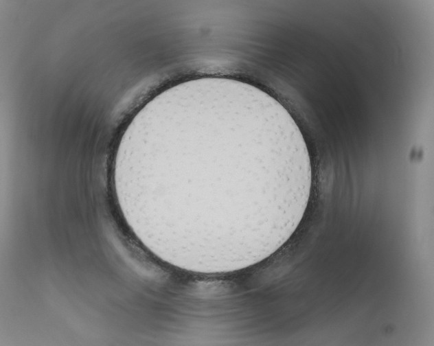 X0000111800686200909031229
