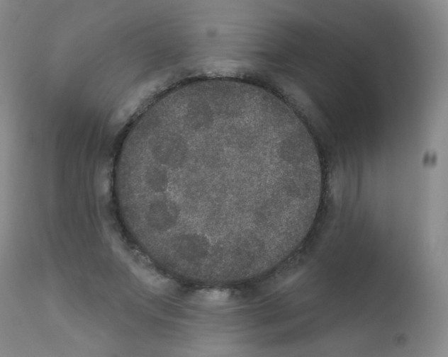 X0000111800687200909031229