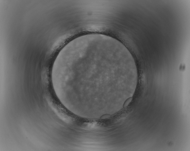 X0000111800688200909031229