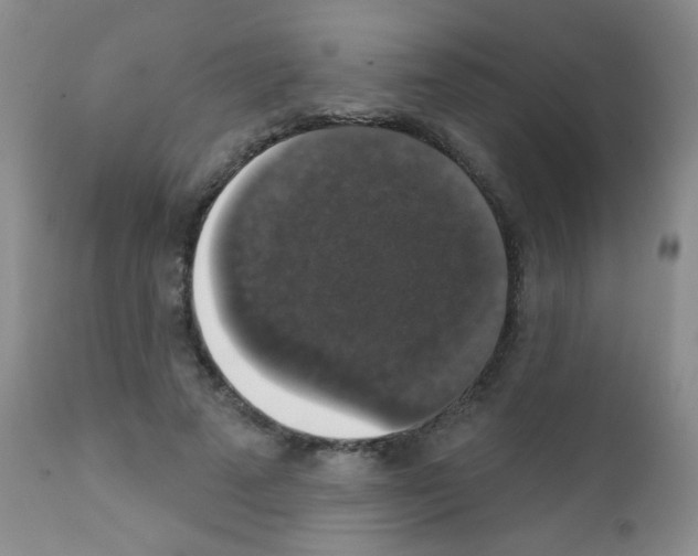 X0000111800689200909031229