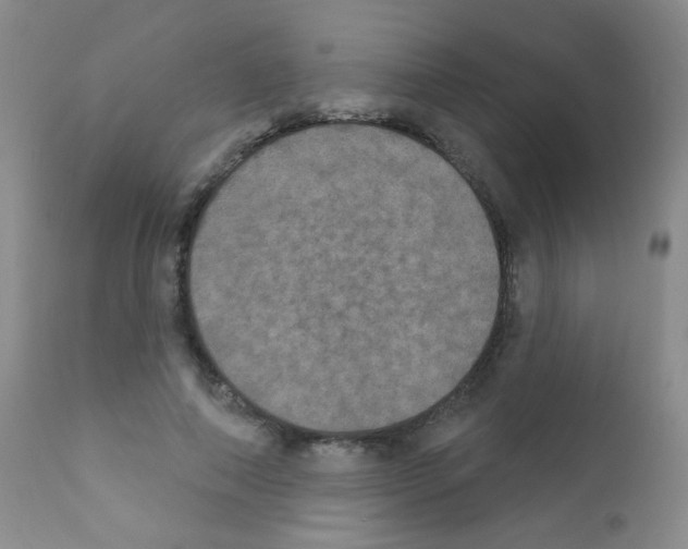 X0000111800690200909031229