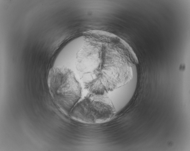 X0000111800691200909031229