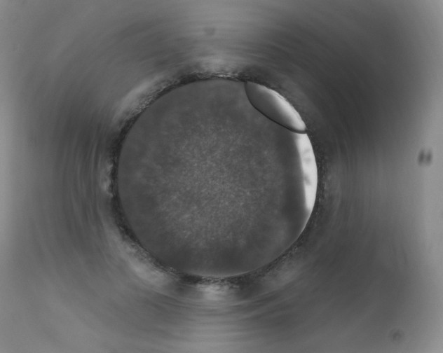 X0000111800693200909031229