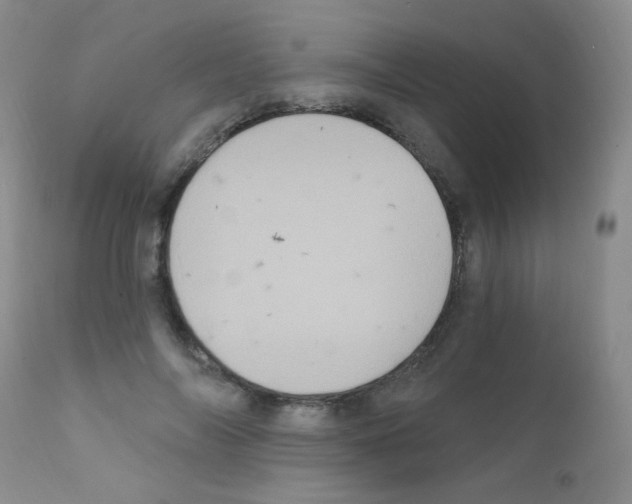 X0000111800694200909031229