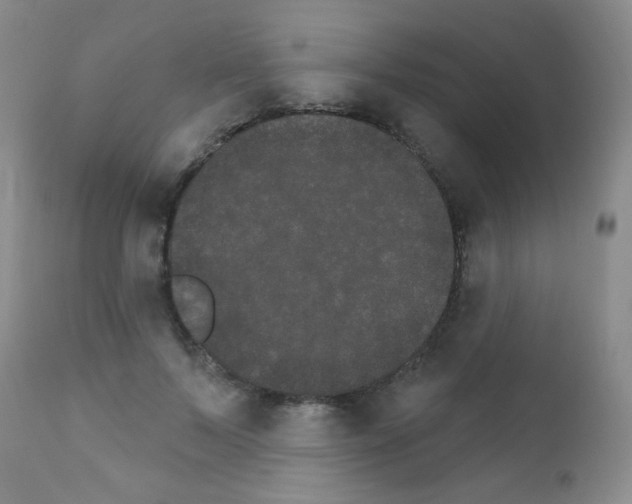 X0000111800695200909031229