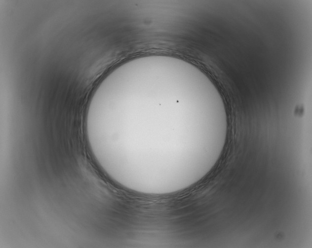 X0000111800696200909031229